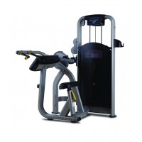 YLY-06/07 Bicep Curl & Tricep Press